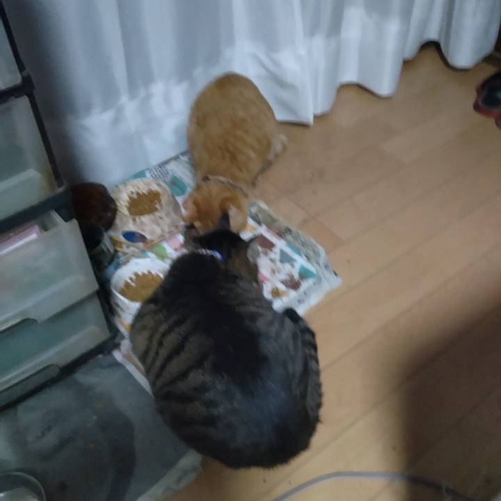 Adc54a59 18b9 4cd5 b53a 76dc77d4c782 1673652103768