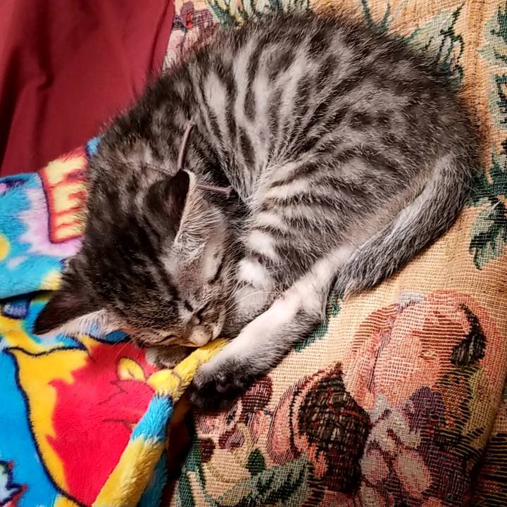 Adc5ad07 ace8 48b9 ab24 248493d88d71 1661425361364