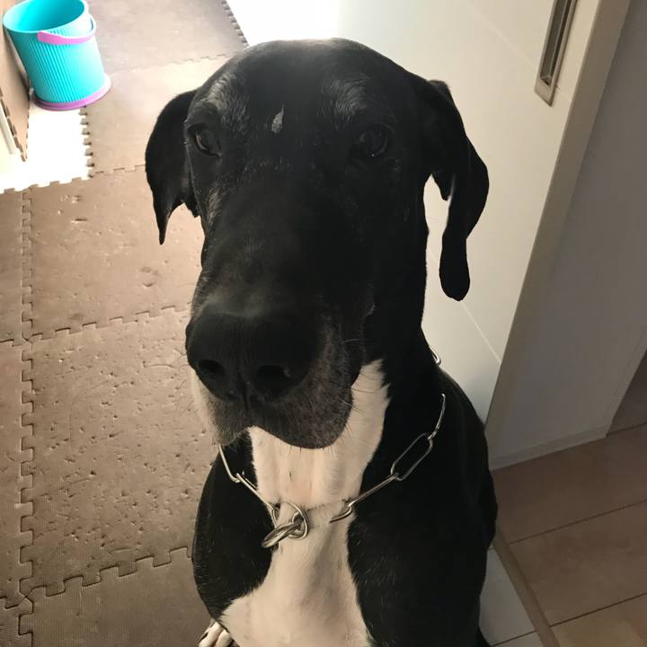 Adc5b4e1 1d2e 47b1 bf75 486a1c506d1a 1515537982795