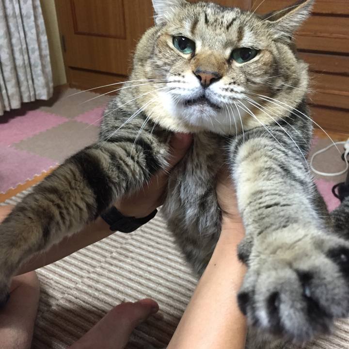 Adc60faf f96c 4e95 a975 5a4a4fd621e8 1694345208441