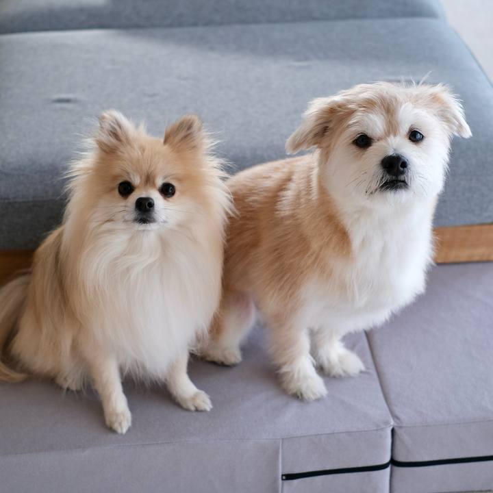 Adc6257c 5ede 47b3 b707 f8246703aad2 1774645823916