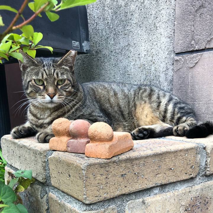 Adc69df0 4283 4659 abe1 94e1cc147774 1600513039523