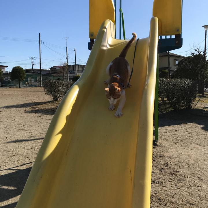 Adc6fb0b ad5e 49d7 b50e f7f24871c490 1511760589550