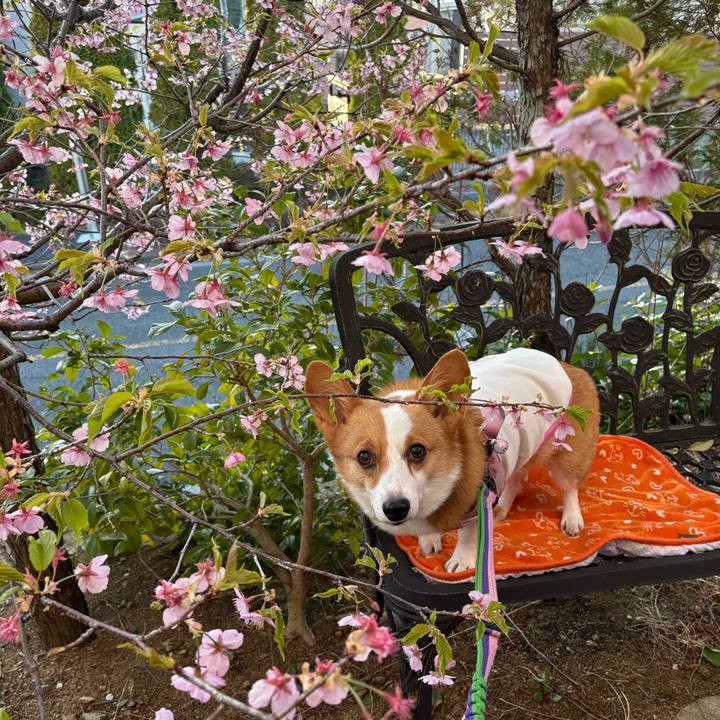 Adc6fb91 407f 45d9 b33e 4b6317e35c52 1772957451688