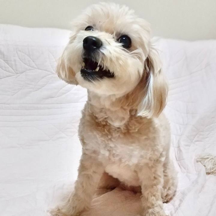 Adc73114 fba5 436f 8932 c0ec76b5a1bc 1602500471883