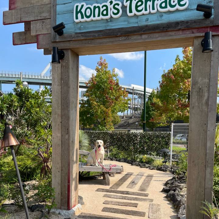 Adc75418 c991 4e4c 81aa 7a6aafbcea38 1633409288957