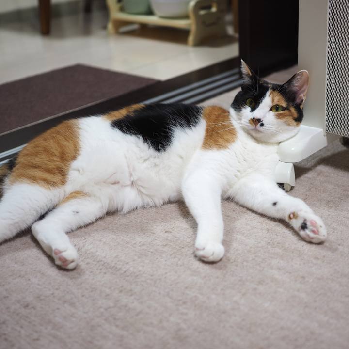 Adc7925d 65c7 40bc 89ba beab8089c56d 1520551615250