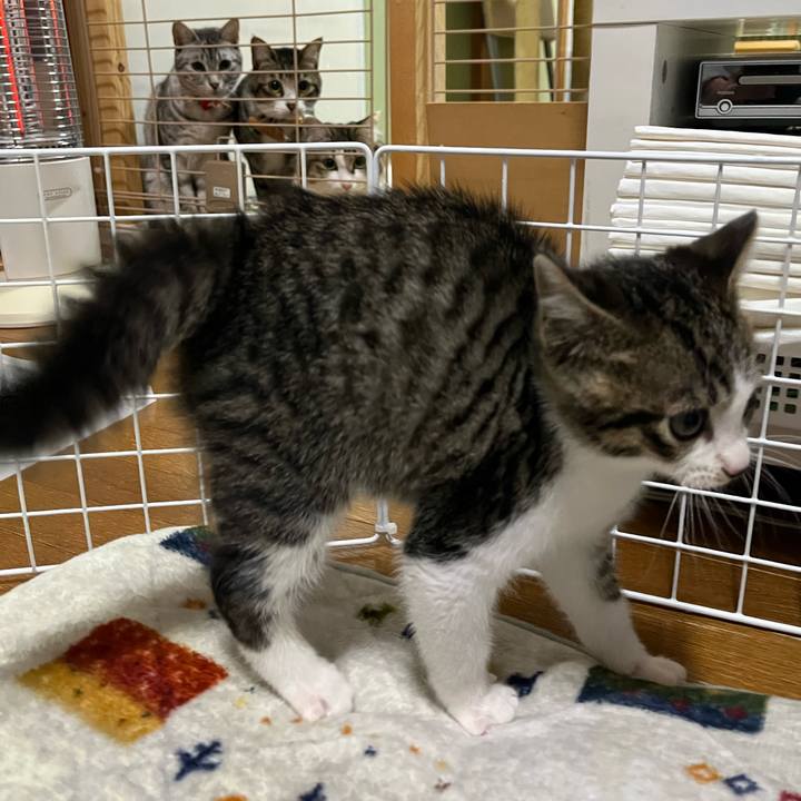 Adc7ad94 1508 43a6 b388 2bb984e27ad6 1766200087810