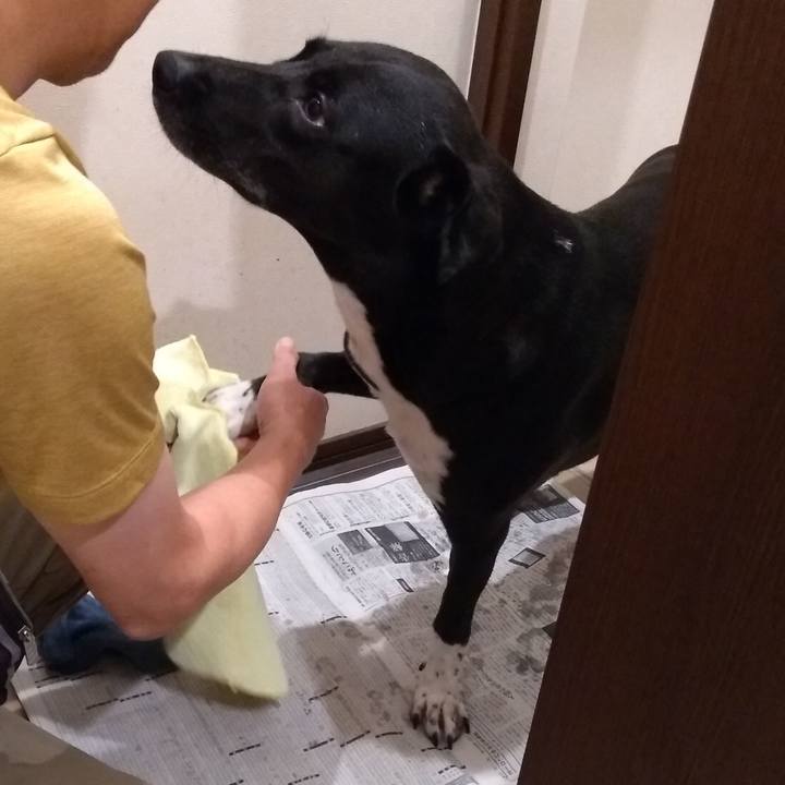 Adc7b771 3a80 4b95 940b 4bb5ddbb2452 1628939576244