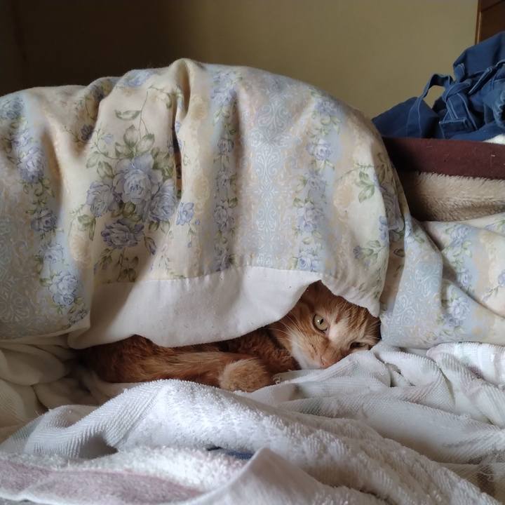 Adc7c138 801d 4c90 acbf cb74fdfe66ed 1740363575812