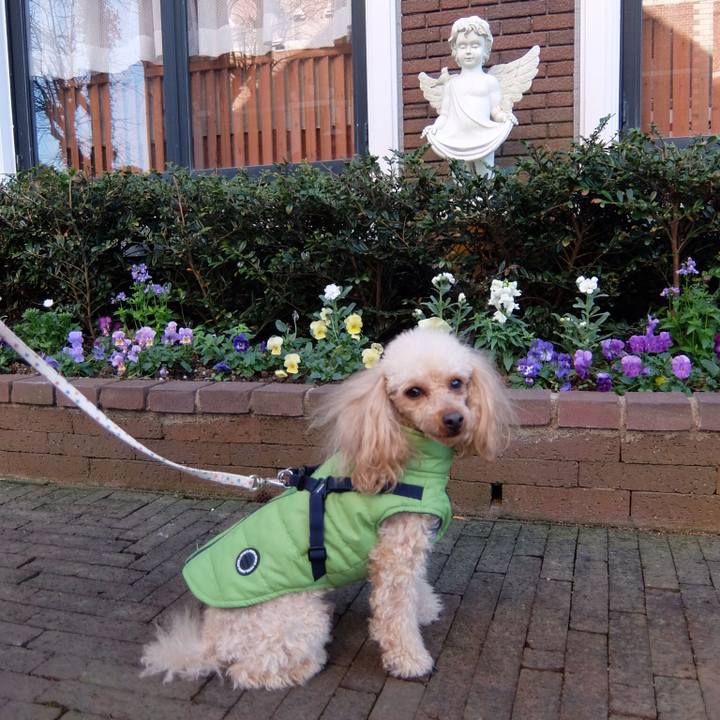 Adc7d499 ab4c 4fe7 ac1e a0900f8b1f06 1515151523319