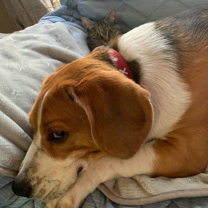 Adc7dc9b 2016 4e2c b344 ebd98080c9b9 1623276295771