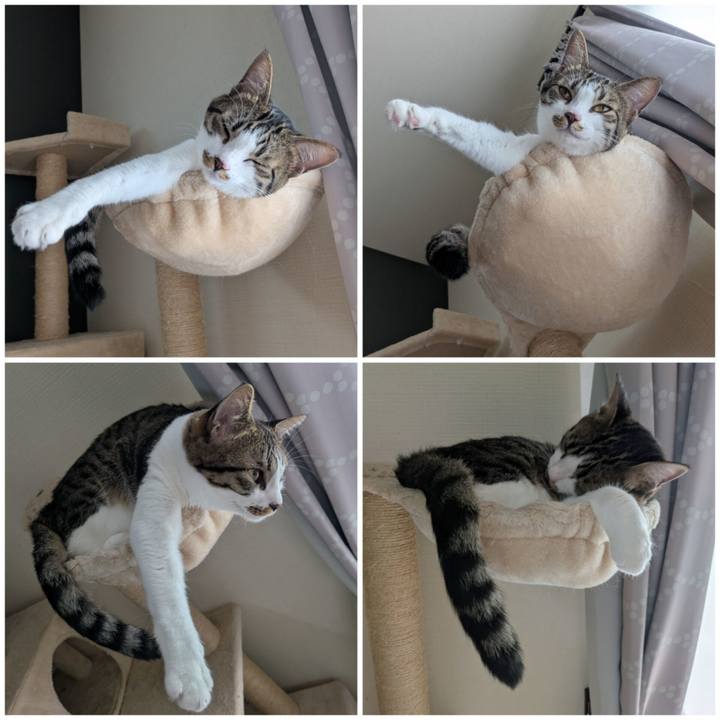 Adc7e99a 967e 40dd a6de 080ce4143caf 1758679224714