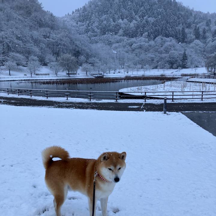 Adc7ee79 4336 4db8 abe6 8520051f8a09 1772925224578