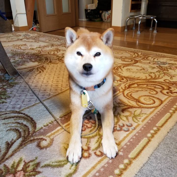 Adc8023d 9f6b 47b4 8f51 284301944179 1570841717754