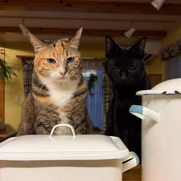 Adc8330e 4810 42cf 94b7 36ce9d7f4b1a 1765928030108