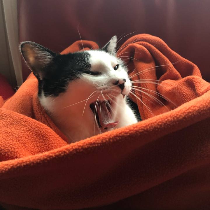 Adc8481b 306c 49f1 bb76 c15b097b9409 1603059402896