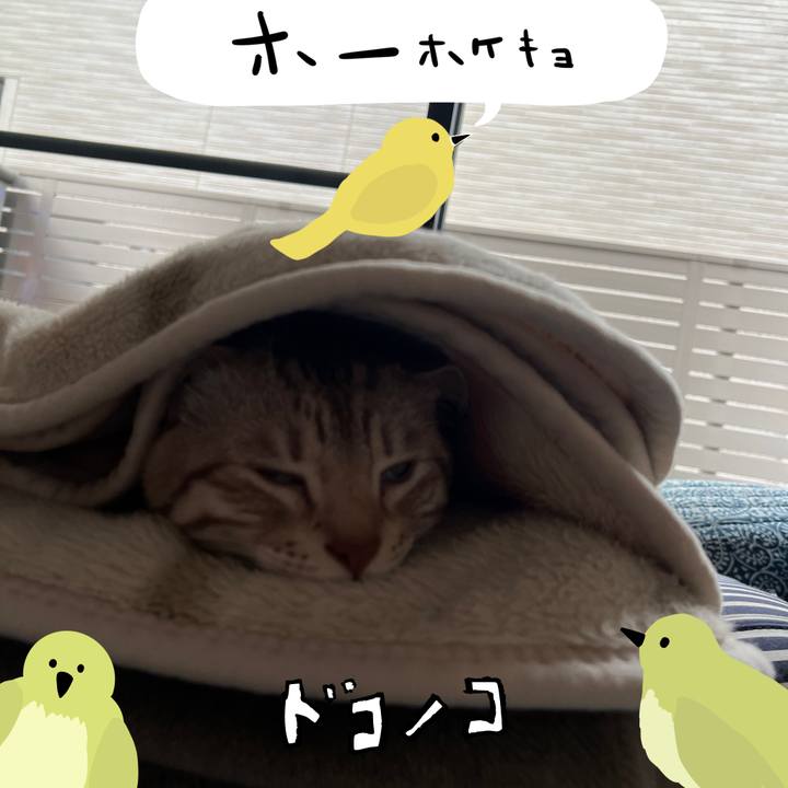 Adc84cd1 4d78 4e2e 82f7 67694097b4f4 1711416379496