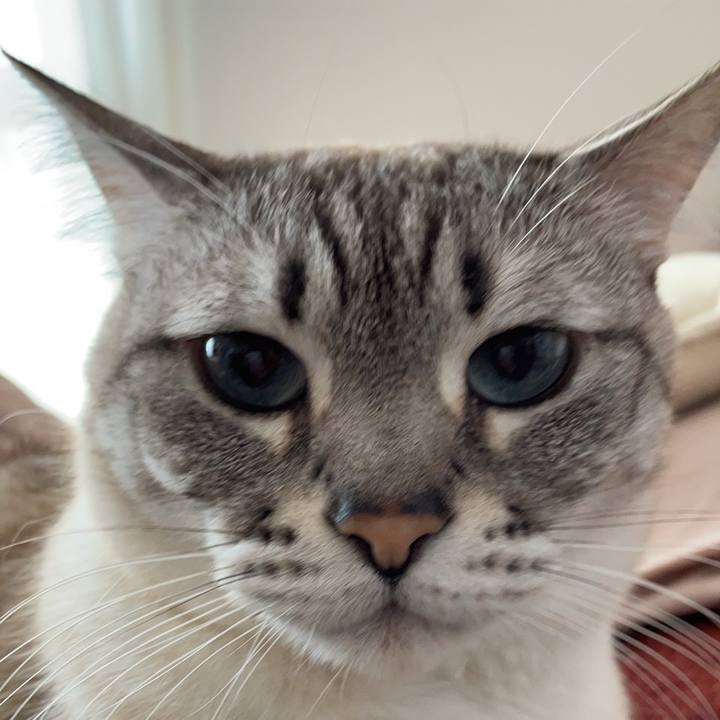 Adc89db6 3913 46dc b53f 718838bde838 1715313404634