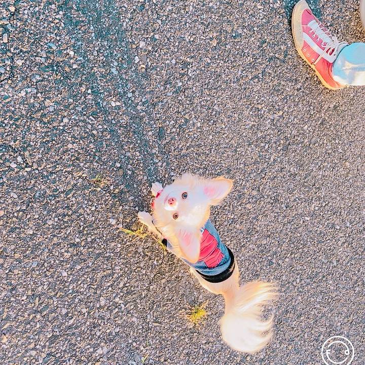 Adc8b104 3223 4725 a198 54843bc9ba4b 1620129709787