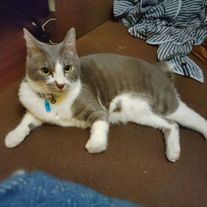 Adc8c060 48a7 464c 8721 bb76a37fd147 1665576330667