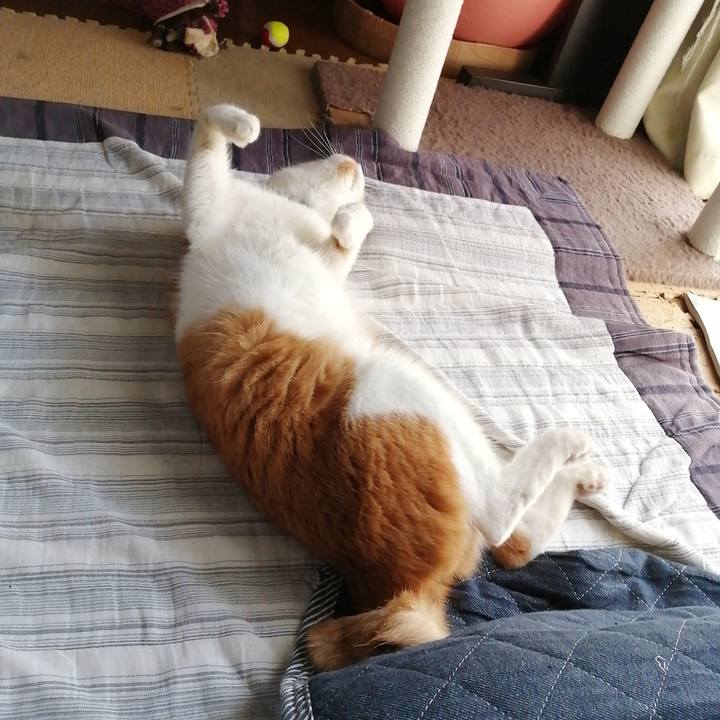 Adc8d9f8 3d5d 48ac a9aa 05c77006a9fd 1600129257140