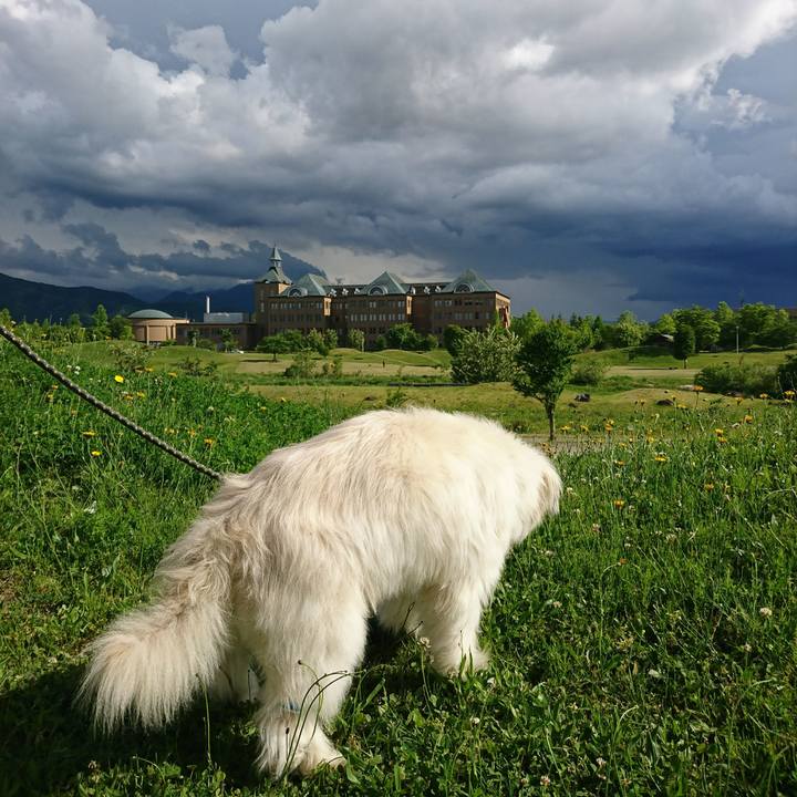 Adc8f455 c095 4581 91ba 650d5a705687 1590237448592