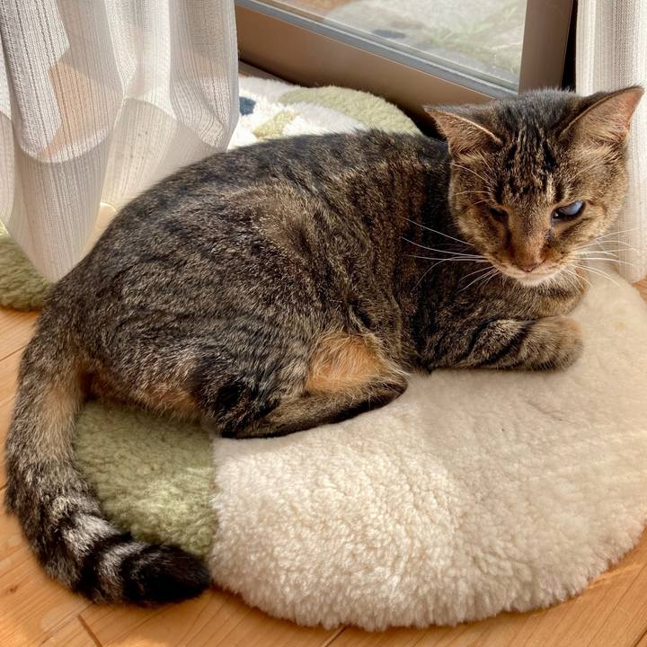 Adc92dcb f6e8 4b85 bcc0 d38cf7b7c50c 1635479588105