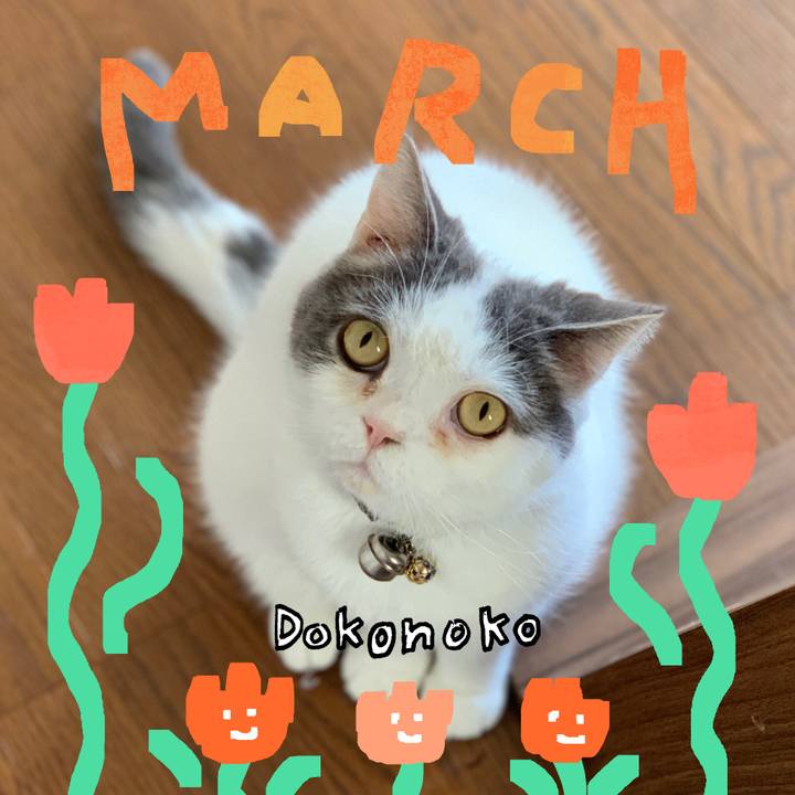 Adc93018 e412 46eb 81bb 4290343d0b66 1741315667922