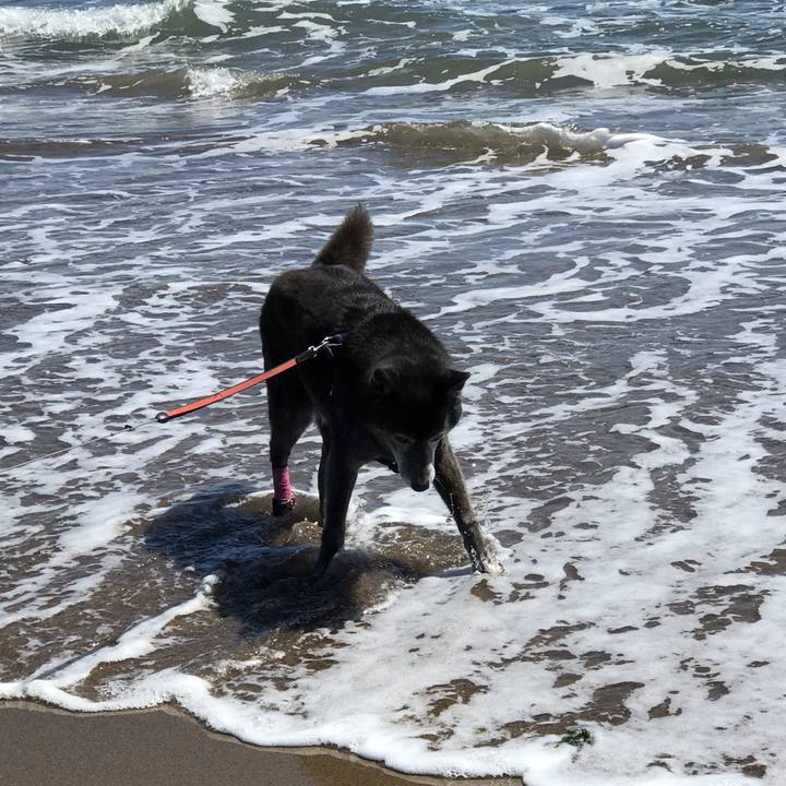 Adc941d6 c95d 48ca 99f3 f4ecd67d0063 1650688209868