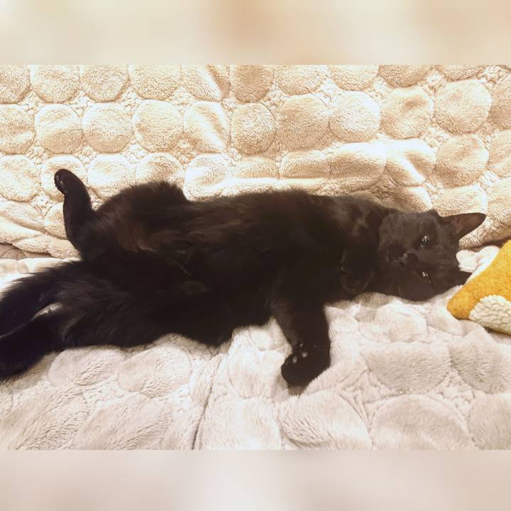 Adc97989 197d 4e14 9871 b0acd6bfdce5 1609864542906