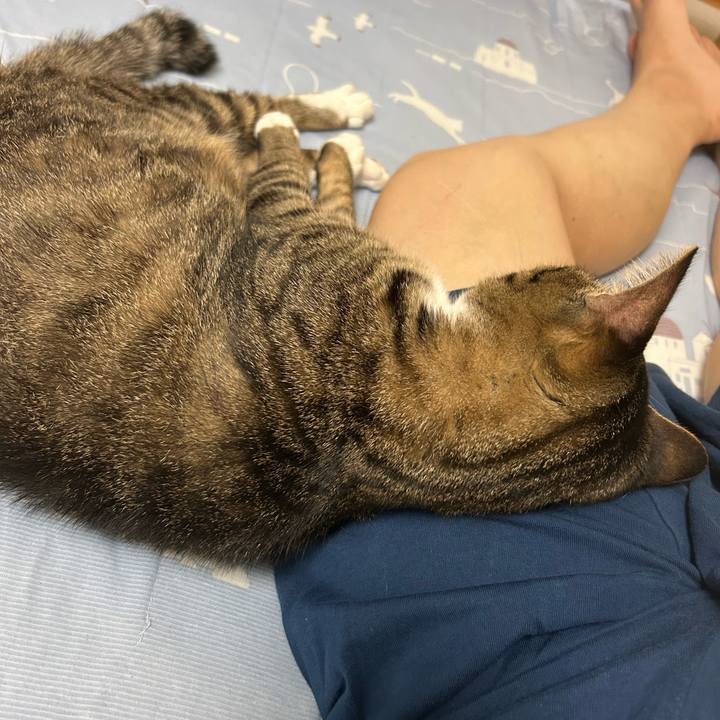 Adc98335 e065 4116 be94 fcc06ae4f59b 1758465537403