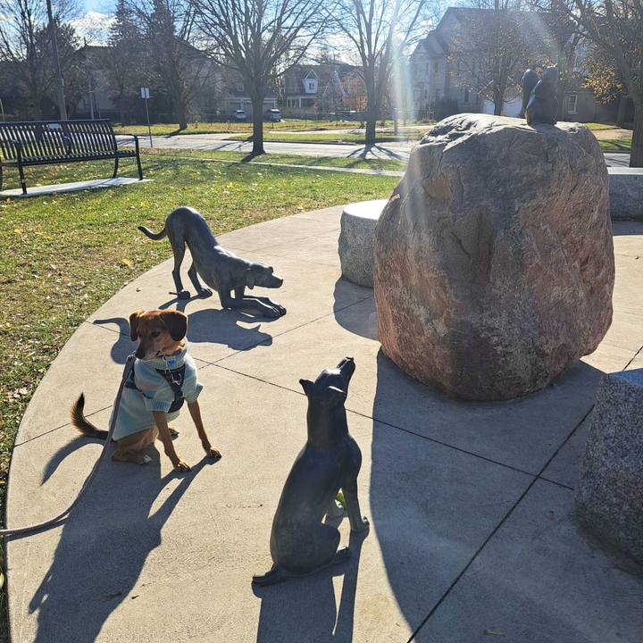 Adc9ae05 06d9 4bec a4a1 3c4bb1cdab09 1763584807304