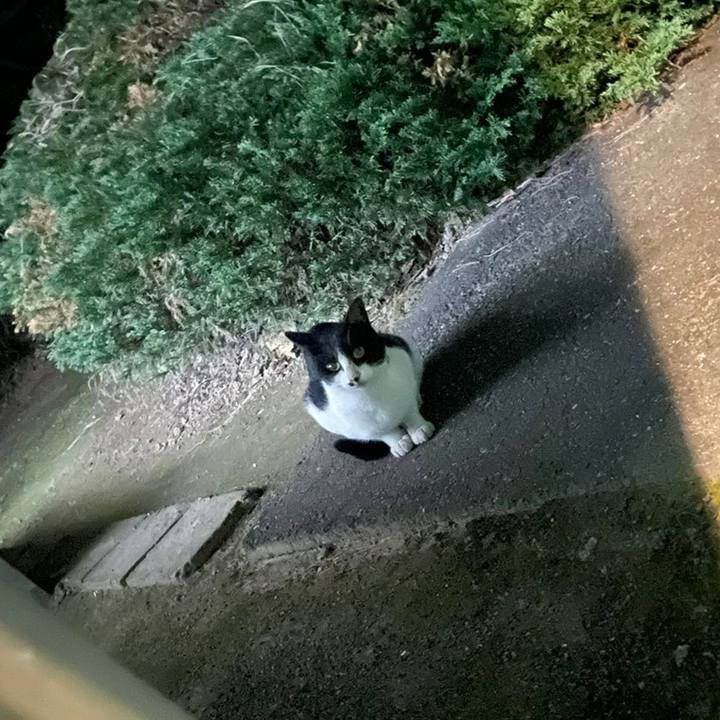 Adc9b5ae 5e94 42fc 8601 2f2080c73189 1633726778384