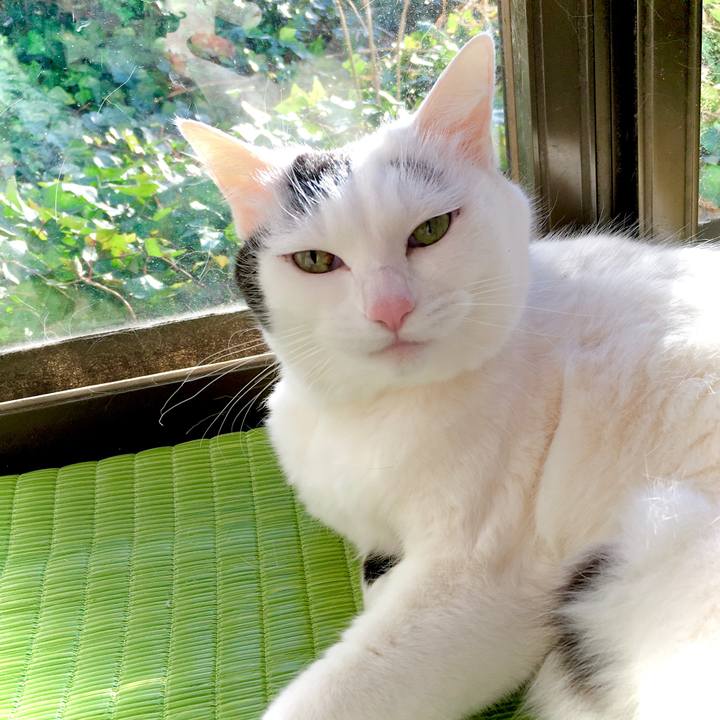 Adc9cdca 6531 476d b3cd d533d04a75a9 1614484653117