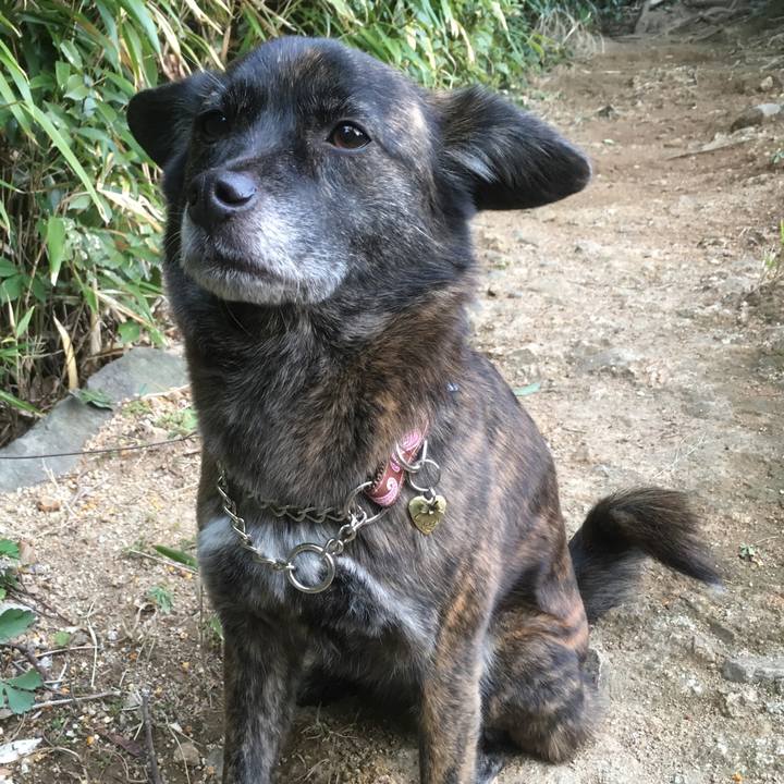 Adca2ca8 8962 40d2 9cfc f19ad3c1b3ad 1519122841135