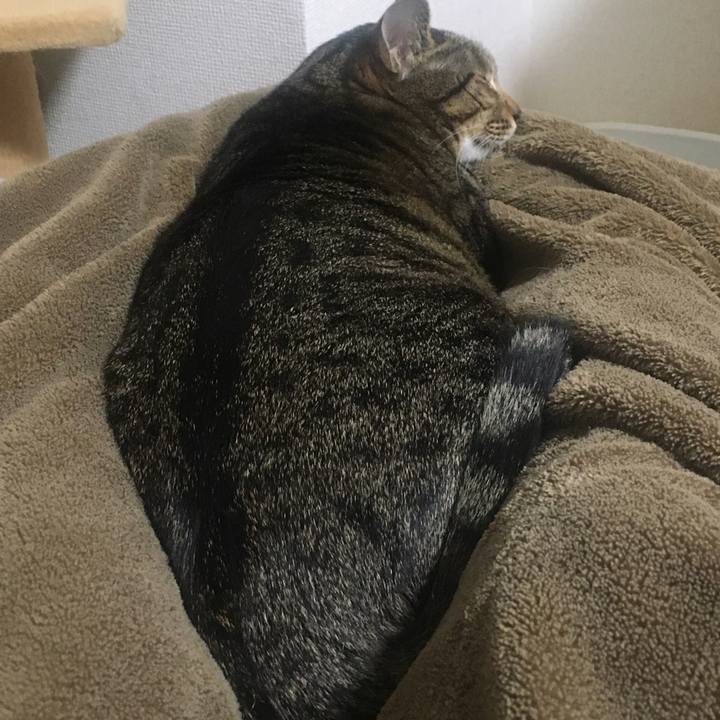 Adca7732 2aba 4e06 96c2 2c1313185363 1583107519035