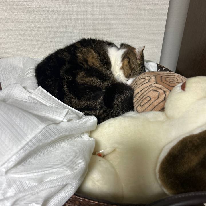 Adca89da 43e3 46b2 a81e 9b6fc40d2808 1773464316260