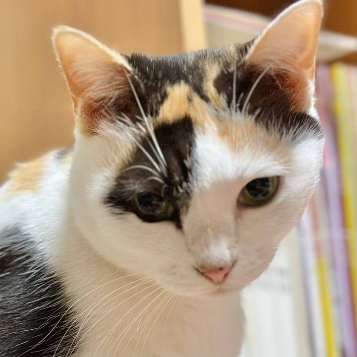 Adcada17 dc22 475a affa 35451ef64d0c 1669428572145