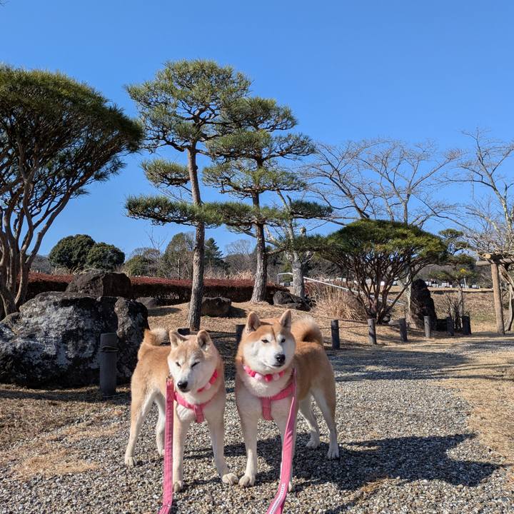 Adcaf3eb 11ca 44d9 8291 86db388a921e 1768736866478