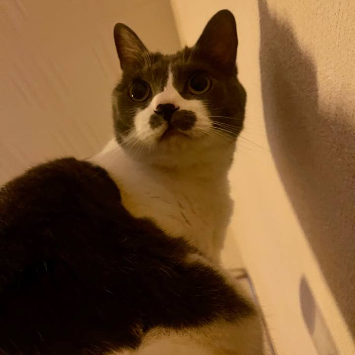 Adcaf9ec 0e6e 4c64 9b36 8301115f0e09 1750890827112