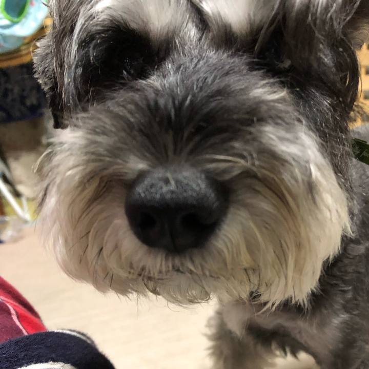 Adcafc85 bbf1 470c b8b8 fd288555e800 1661168735505