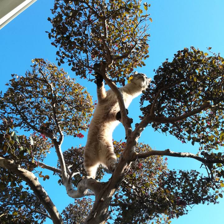 Adcb3328 dfe7 48e3 b6bf 9ee5abcbe9d7 1582270631923