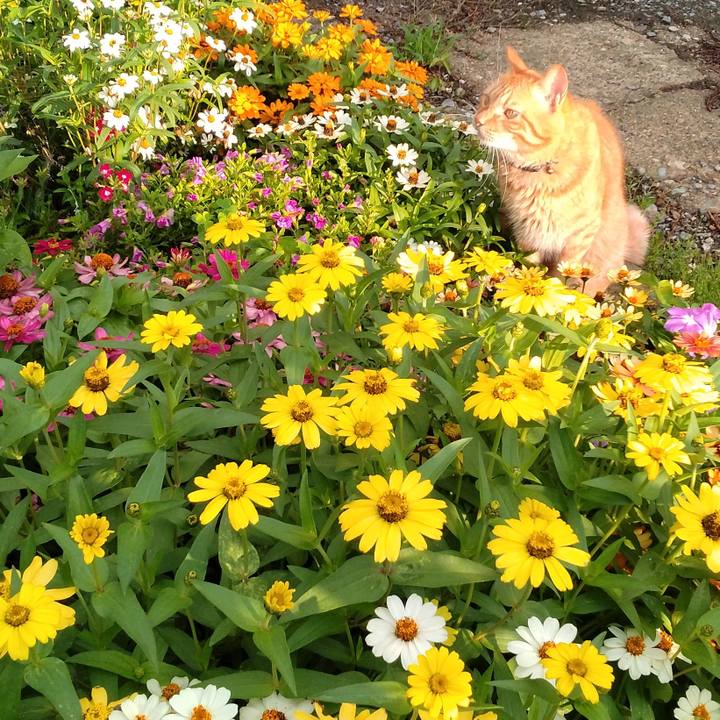 Adcb47ea f62f 43a8 9b01 f5f6ef64aef0 1722295119179