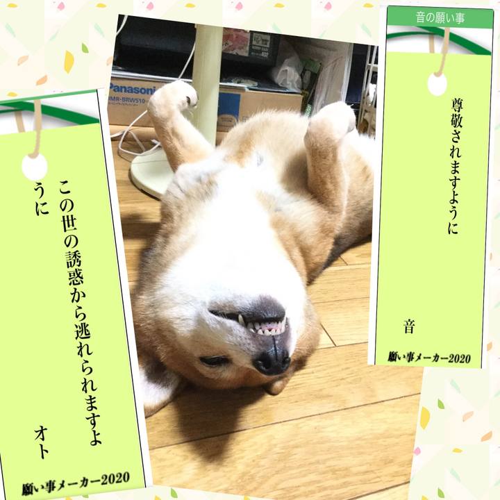 Adcb7441 b592 49f1 b462 651cfa4969ae 1594109898387