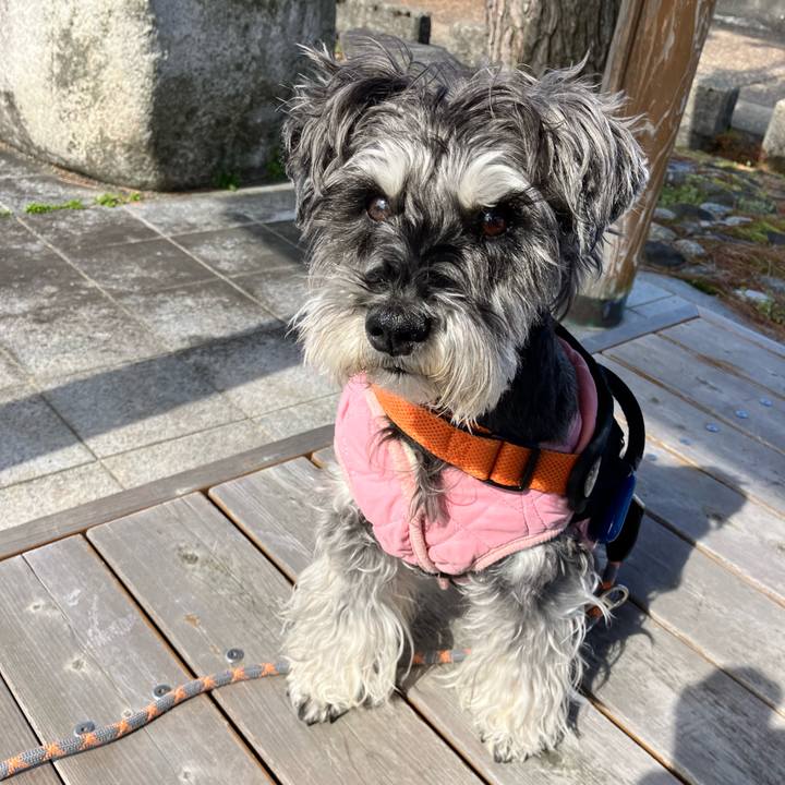 Adcba65f 7366 4a9a be89 990a29230835 1773984260134