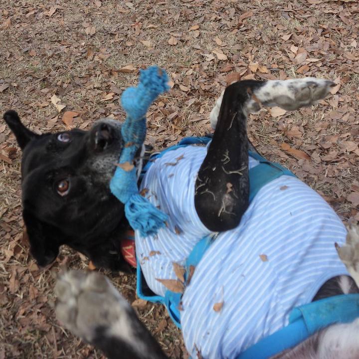 Adcbb76b 8e9a 4339 913e f232a95cfb7c 1703728237415