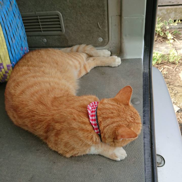 Adcbc2cc 7579 4415 aff4 9a5bd4256980 1597561920560