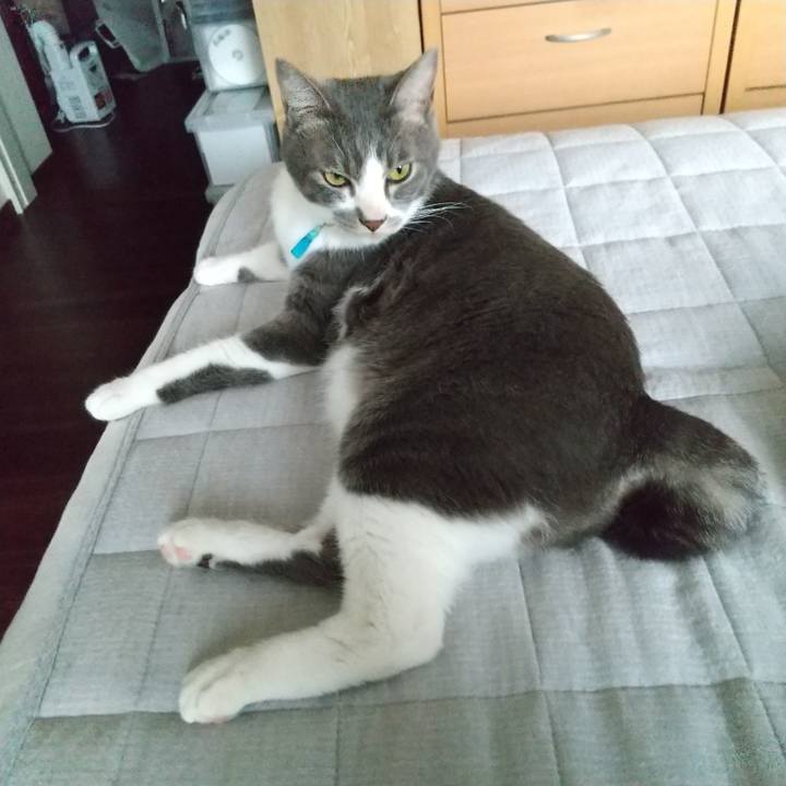 Adcbf209 2478 4841 ba2c b3586093eab0 1621207488738