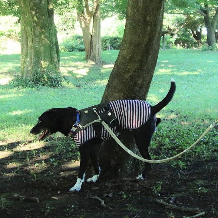 Adcc167b b2c3 4538 87ba 474586d43a51 1659052684851